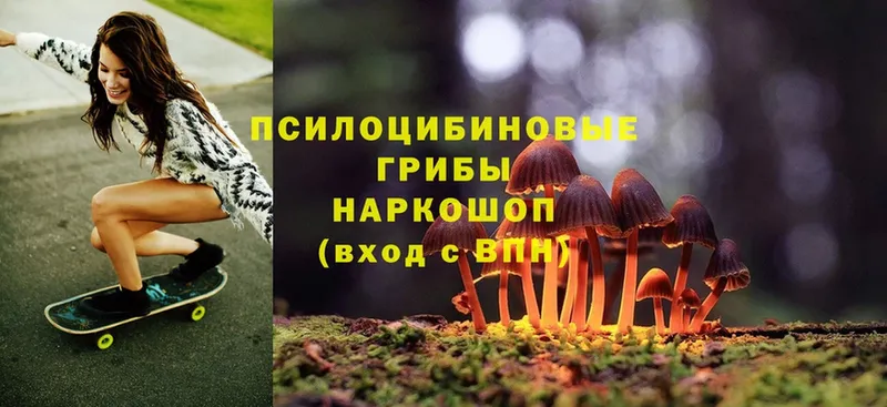 kraken ССЫЛКА  Ковылкино  Галлюциногенные грибы Psilocybe 